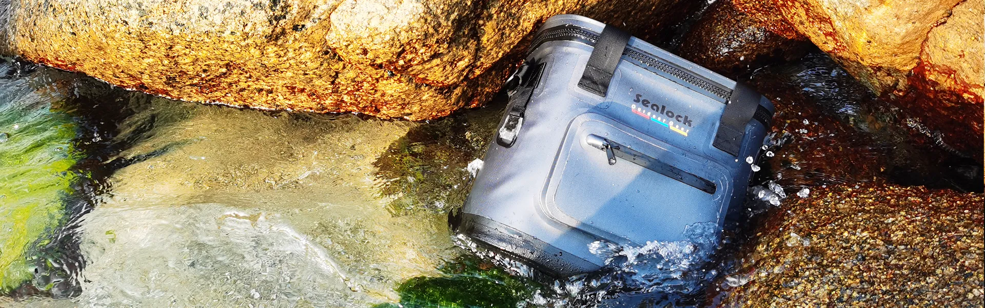 డౌన్‌లోడ్ చేయండి